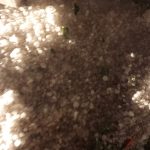 Granizo danifica casas e veículos em Ipeúna - Grupo Rio Claro SP