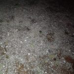 Granizo danifica casas e veículos em Ipeúna - Grupo Rio Claro SP