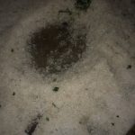 Granizo danifica casas e veículos em Ipeúna - Grupo Rio Claro SP