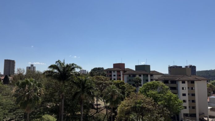 Céu azul com prédios e árvores.