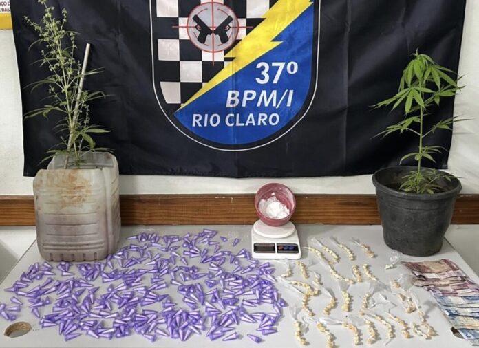 Drogas e plantas de maconha.
