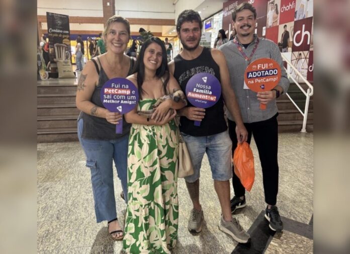 Shopping Rio Claro promove evento de adoção de cães neste sábado