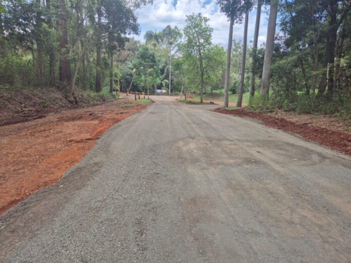 Obras de recuperação do acesso ao Horto Florestal entram na fase final